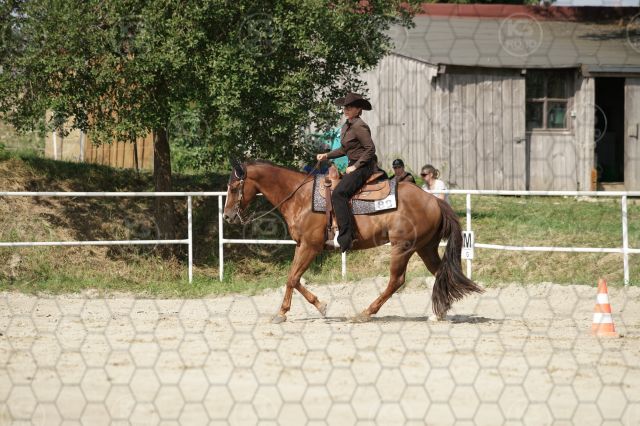 s_K3F07469.JPG